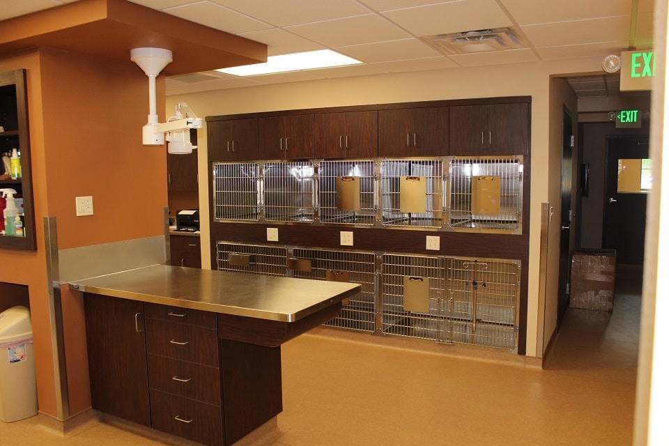 Southern Pearl Veterinary Hospital treatment area