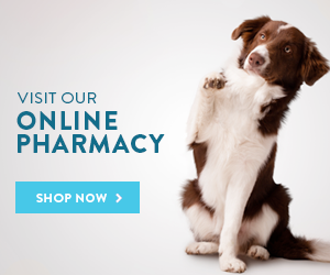 My VetStore Online pharmacy